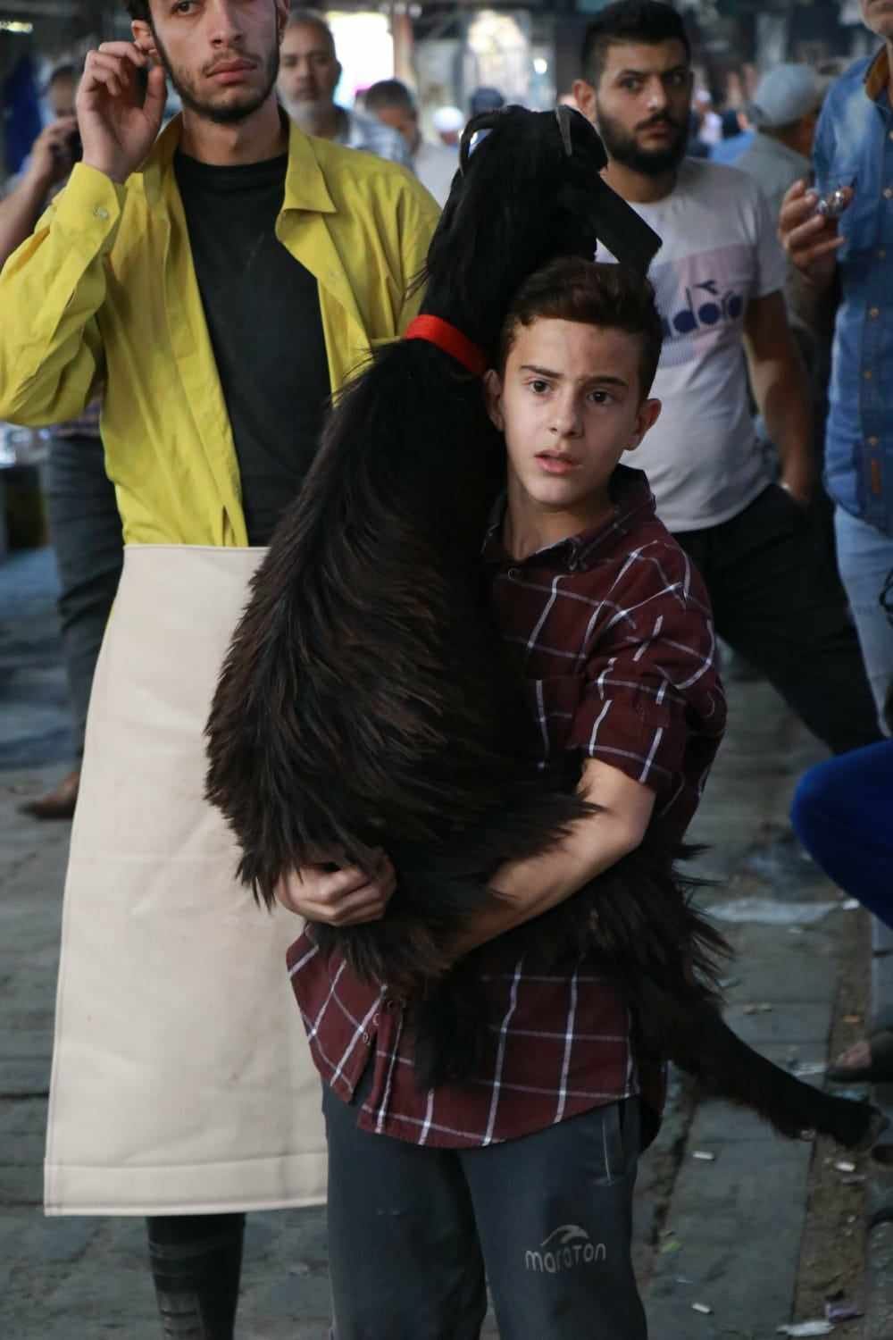الطفل غدي العقباني وأدوار البطولة... مستقبل فني واعد
