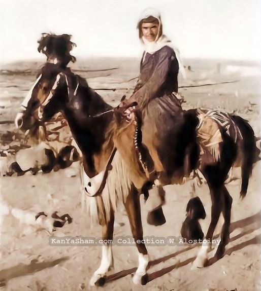 فارس من جبل العرب في مطلع القرن العشرين