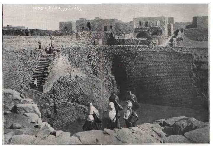 بركة السورية السويداء