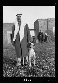 سلطان باشا