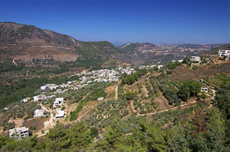 الجاهلية