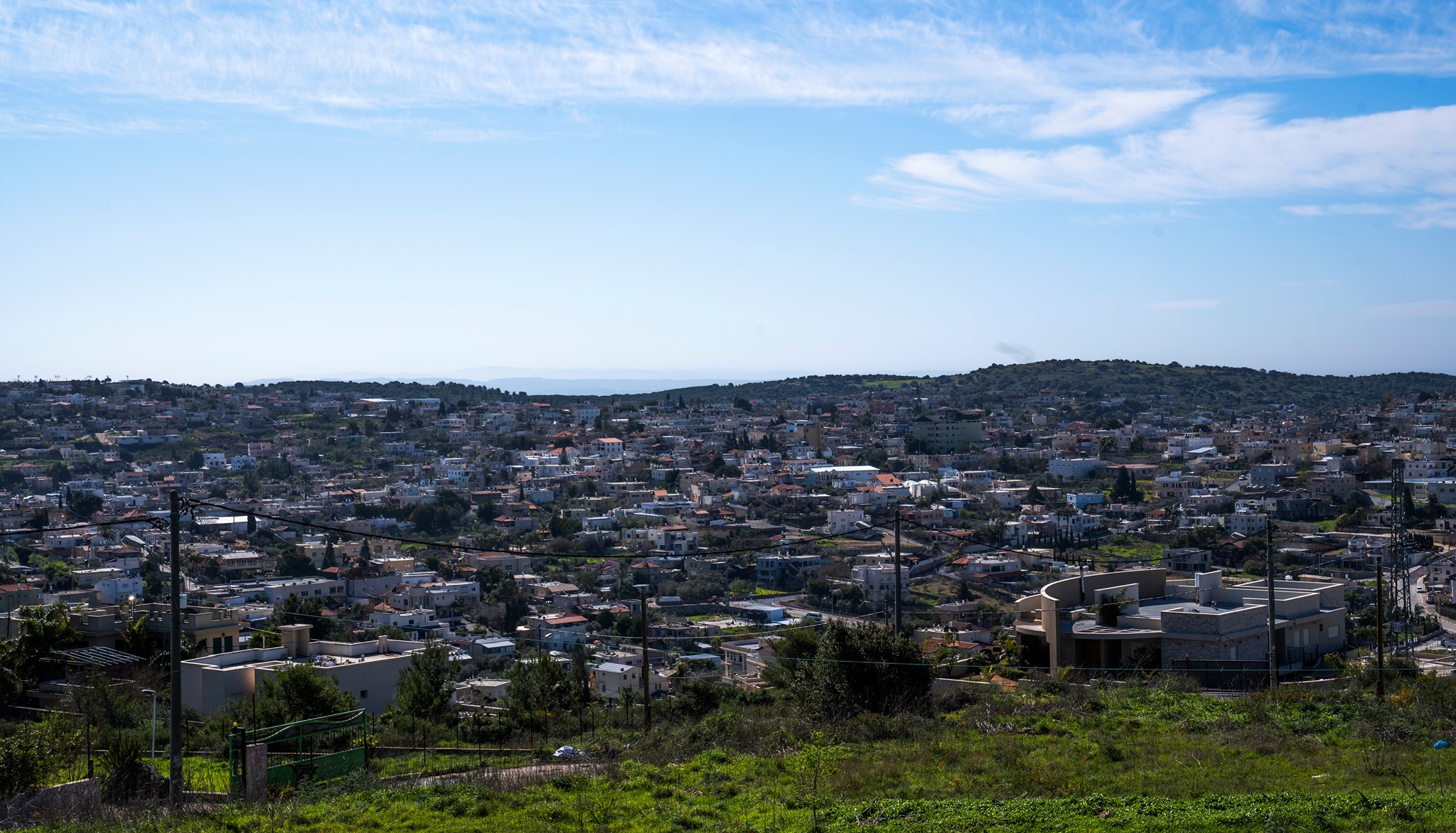 دالية الكرمل