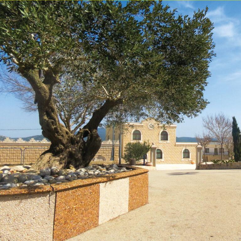 الأماكن المقدسة عند الموحدين الدروز الأماكن المقدسة لدى الموحدين الدروز