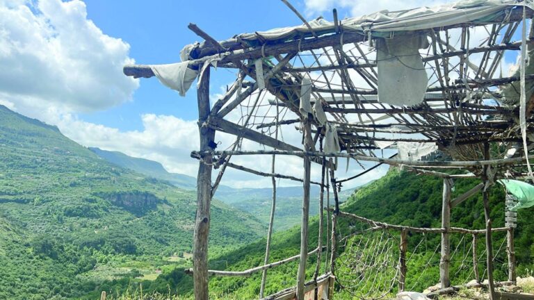 مزرعة الشوف