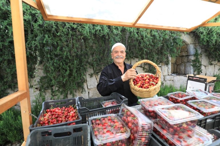 جباع احتفلت بمهرجان الكرز جباع احتفلت بمهرجان الكرز